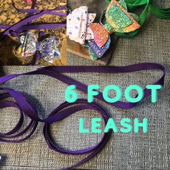 🥳🐾Dog Leash and Detachable Bow Set in Sparkles🐾🥳 - Picture 4 of 13